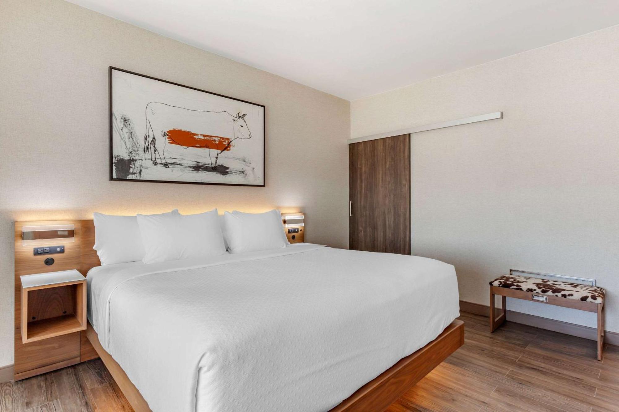 Cambria Hotel Richardson - Dallas Экстерьер фото