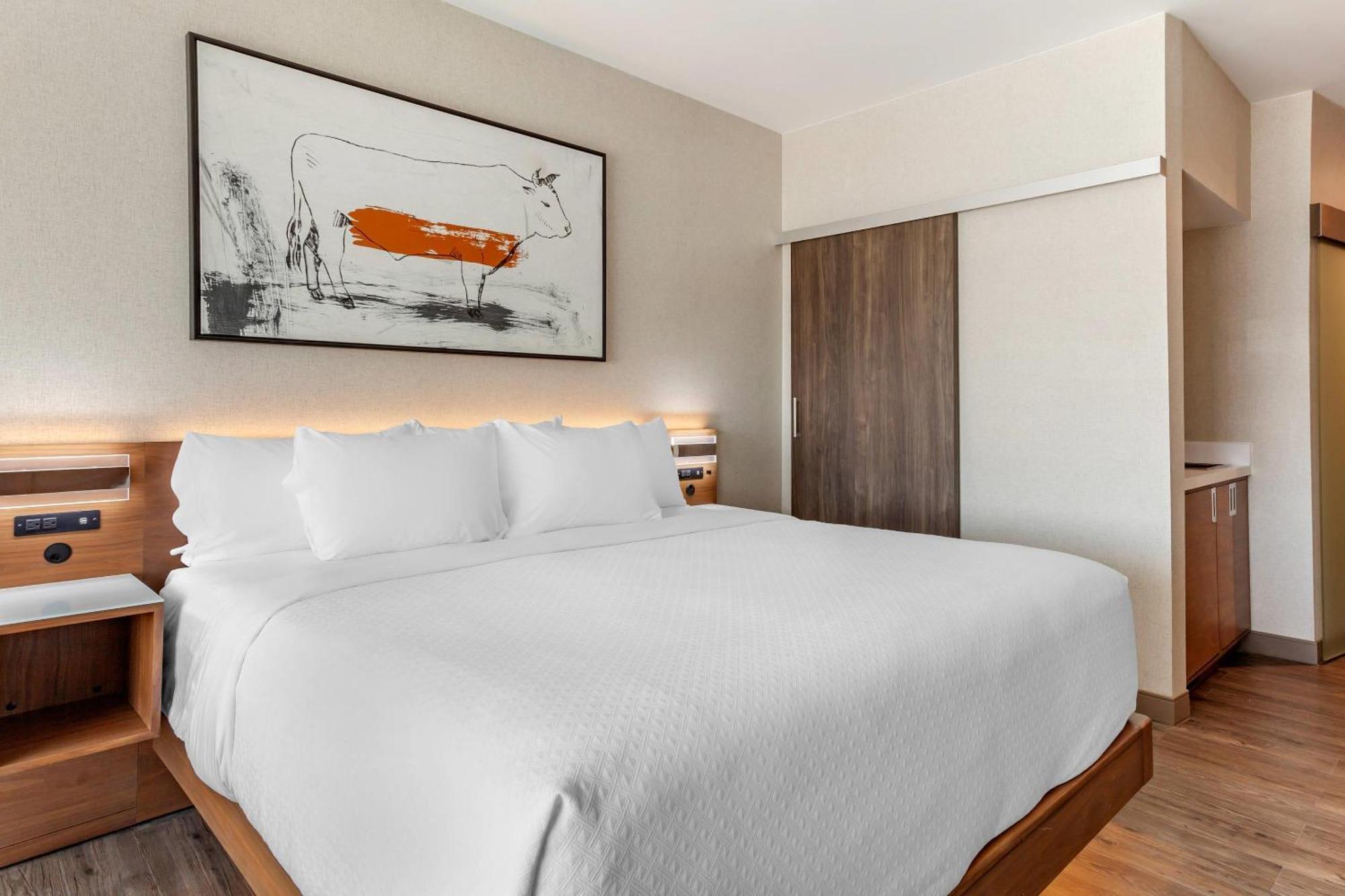Cambria Hotel Richardson - Dallas Экстерьер фото